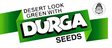Desert Look Green With Durga Seeds